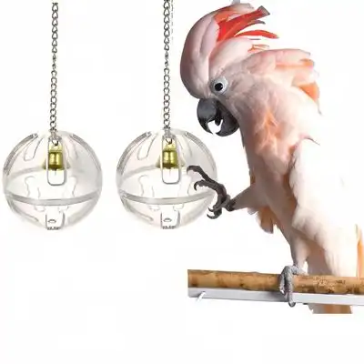 ZooVenture Pelotas de juguete transparentes para loros (2 unidades) - 2 piezas - Zooventure - Comparador de precios