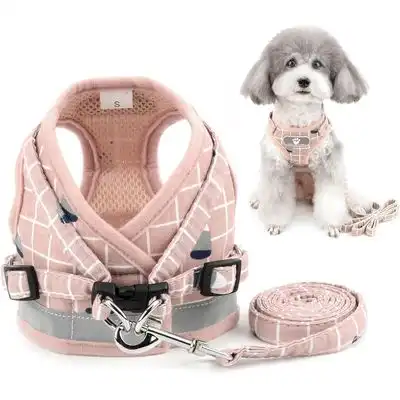 HausPets Arnés antitirones ajustable y reflectante para perros pequeños - Artículo 1 - HausPets - Comparador de precios