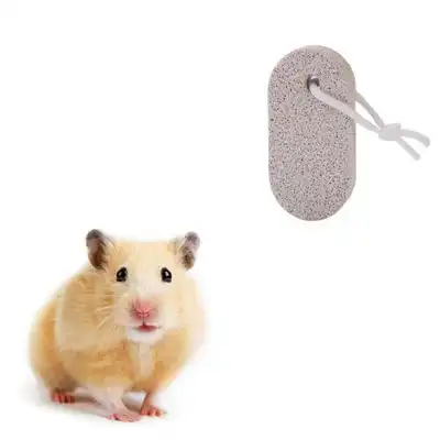 IntiMeg Piedra dental para animales pequeños - Artículo 1 - IntiMeg - Comparador de precios