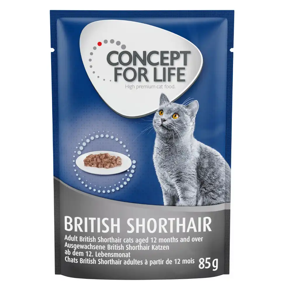 Concept for Life comida húmeda para gatos 24 x 85 g ¡con descuento! - British Shorthair Adult