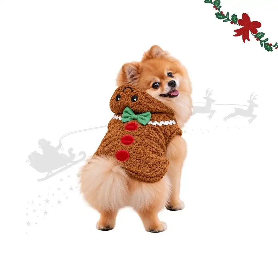 Wonder Christmas Disfraz Galleta Jengibre para perros L (45 cm) - Wonder Christmas - Comparador de precios