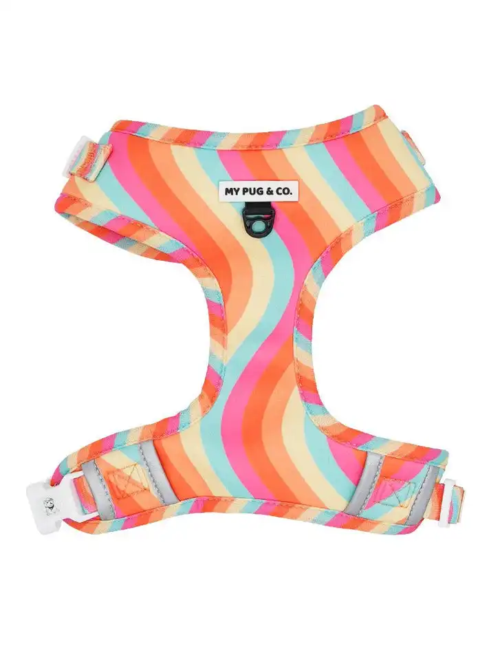 Arnés Ajustable Lollipop - My Pug & Co. - Comparador de precios