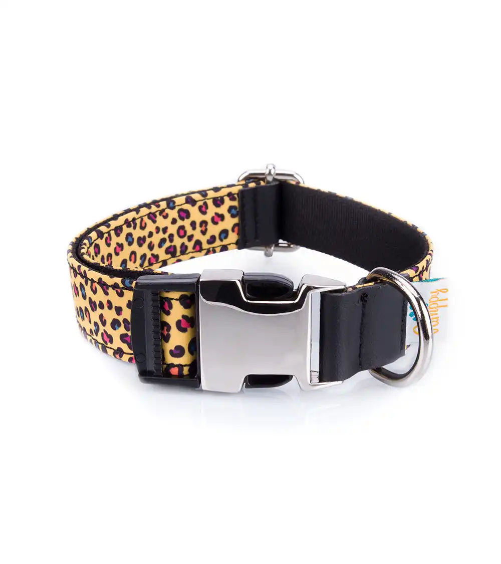 Collar Pamppy Funny Leopardo amarillo para perros