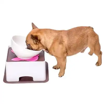 IntiMeg Mesa ajustable para comer perros - Apoyo - IntiMeg - Comparador de precios
