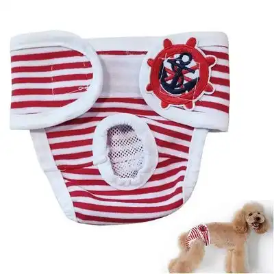IntiMeg Pañales lavables para perros - L - IntiMeg - Comparador de precios