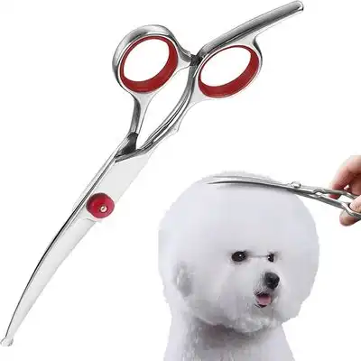 IntiMeg Tijeras para el cuidado del perro - Una pieza - IntiMeg - Comparador de precios