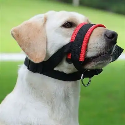 IntiMeg Bozal para perros, antimordeduras y antiingestión - SG - IntiMeg - Comparador de precios