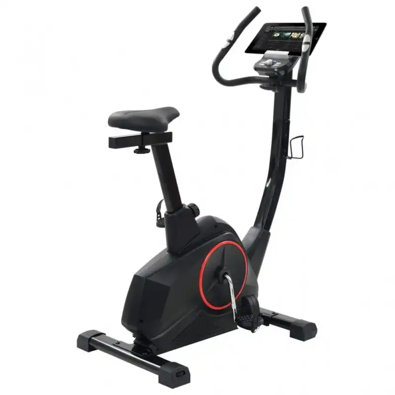 VidaXL Bicicleta Estática Magnética con Pulsómetro Programable Negra
