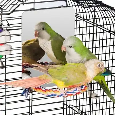 ZooVenture Espejo y juguetes para pájaros - Pequeño - Zooventure - Comparador de precios