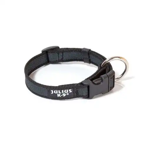 Collar Color & Gray Julius K9 IDC negro 25 mm