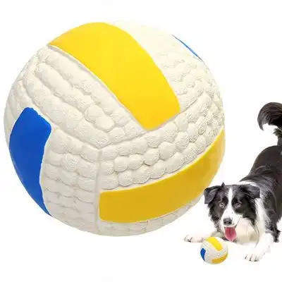 IntiMeg pelota de juguete para perros - Gran voleibol - IntiMeg - Comparador de precios