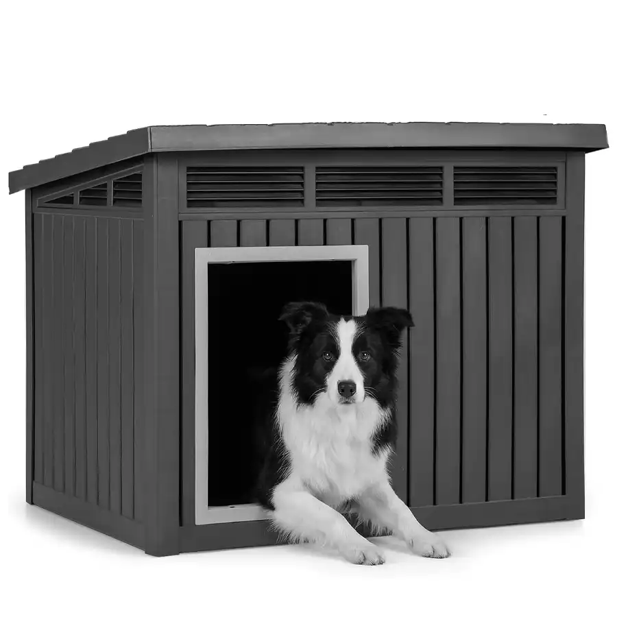COSTWAY Caseta para Perros Exterior, Casa para Perros de Plástico con Puerta, Techo Inclinado Abatible, Rejillas de Ventilación, Mueble Perrera para Mascotas, 81 x 64 x 61 cm, Negro - 81 x 64 x 61 cm - COSTWAY - Comparador de precios