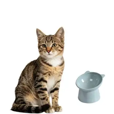 MCBOSON Comedero elevado azul inclinado antivómito para gatos - 1 artículo - Mcboson - Comparador de precios