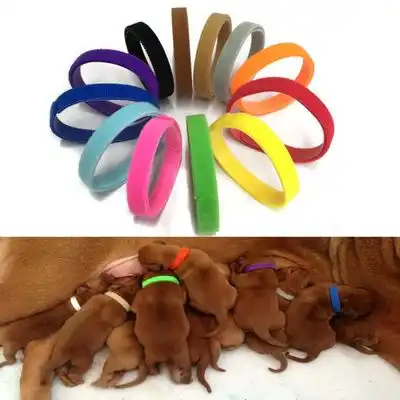 UAMLY Collar para cachorros, cinta de identificación ajustable - 12 piezas L - Uamly - Comparador de precios