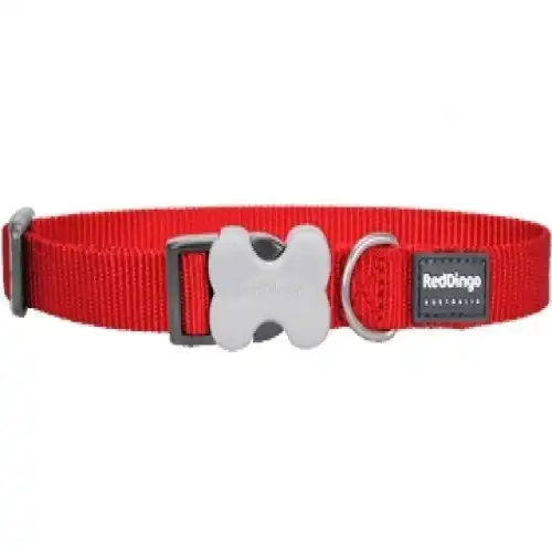 Collar Red Dingo para perros Classic Rojo S - RedDingo - Comparador de precios