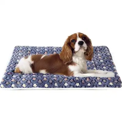 IntiMeg Colchoneta para dormir para perros - 71 cm de largo x 51 cm de ancho x 4 cm de alto - IntiMeg - Comparador de precios