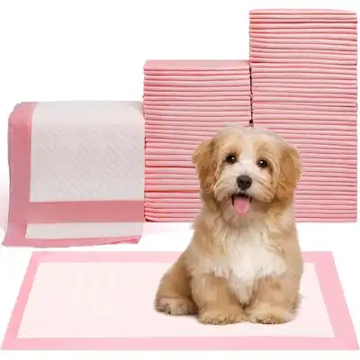 UAMLY Almohadilla de entrenamiento para ir al baño para mascotas - 50 piezas - Uamly - Comparador de precios