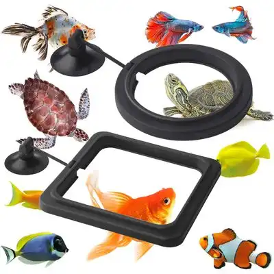 HausPets Anillo dispensador comida peces, 2 piezas, acuario, pecera tortuga - Artículo 1 - HausPets - Comparador de precios