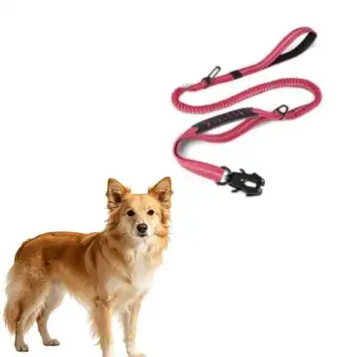 MCBOSON Correa elástica reflectante para perros Rose Antipull con 3 asas - 1 artículo - Mcboson - Comparador de precios
