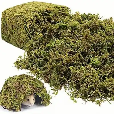 ZooVenture Musgo forestal como lecho para animales pequeños - 400 g - Zooventure - Comparador de precios