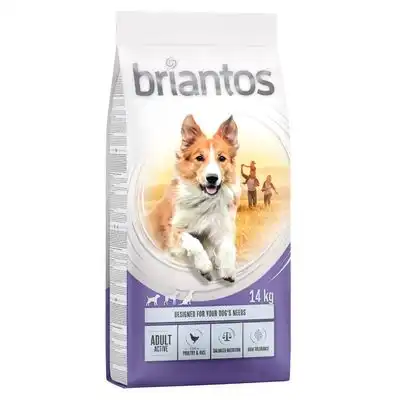 Briantos 14 kg pienso para perros ¡con gran descuento! - Adult Active Pollo y arroz - briantos - Comparador de precios