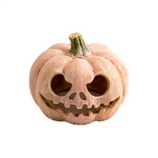 Exo Terra Calabaza Fluorescente 225 GR - Exo Terra - Comparador de precios
