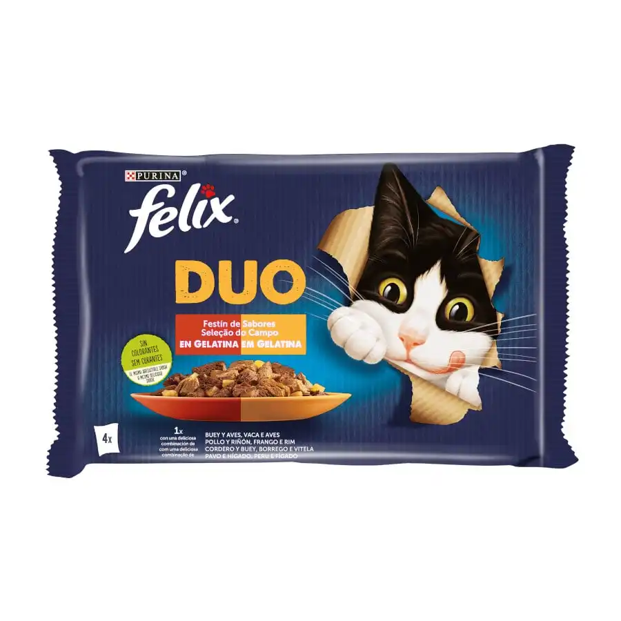 Felix Fantastic Duo Carne en Gelatina sobre - Multipack 4