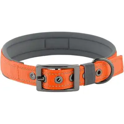HausPets Collar grande ajustable de neopreno para perros hebilla nailon DM - Artículo 1 - HausPets - Comparador de precios