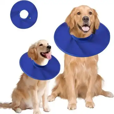 IntiMeg Collar protector para perros y gatos - SG - IntiMeg - Comparador de precios