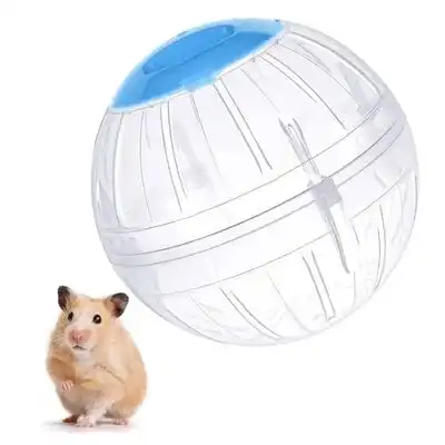 IntiMeg Pelota de ejercicio transparente para hámster - Artículo 1 - IntiMeg - Comparador de precios
