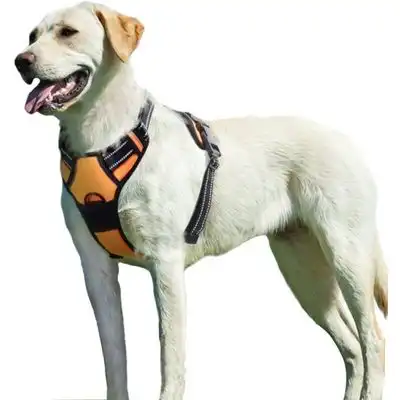 Pawffee Arnés antitirones XL transpirable reflectante para perros, fácil - 1 pieza - Pawffee - Comparador de precios