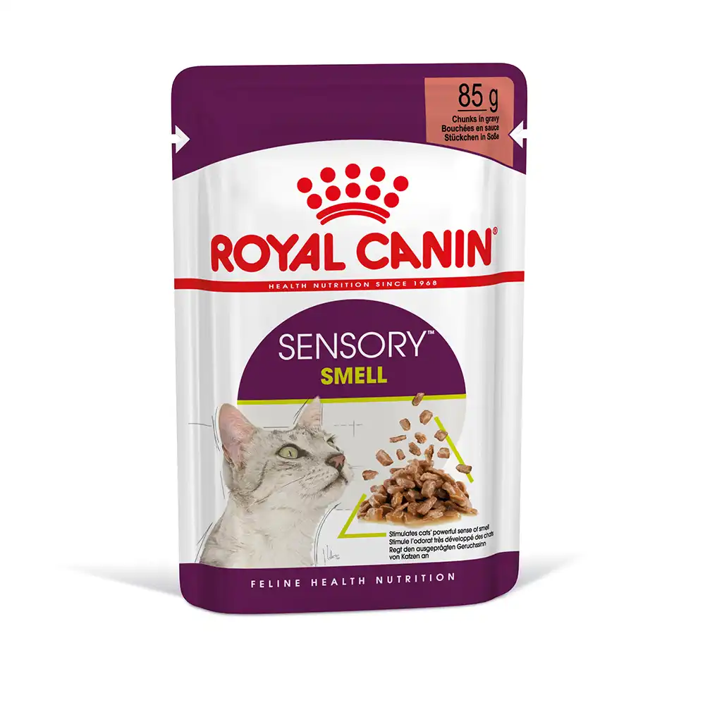 Royal Canin Sensory Smell en salsa - 12 x 85 g