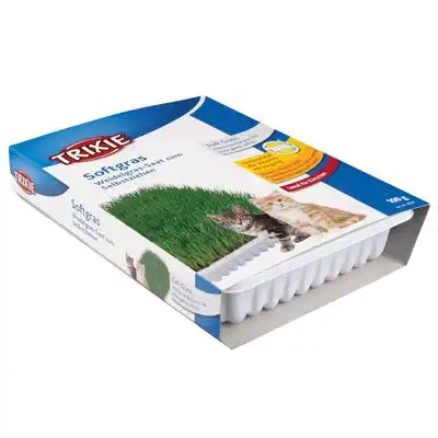 Trixie Bandeja de hierba para gatos tierna 100 GR - Trixie - Comparador de precios