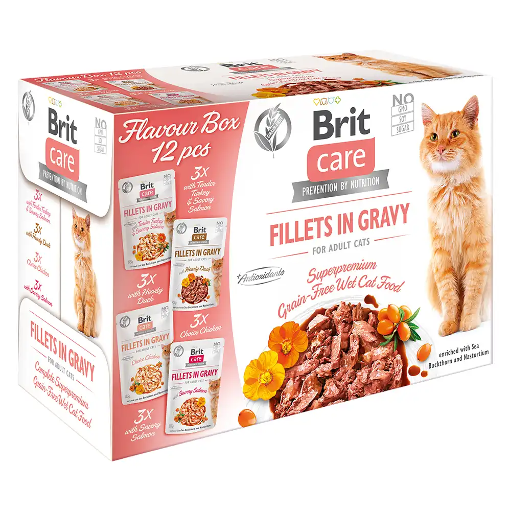 Brit Care Cat filetes en salsa 12 x 85 g  - Pack mixto - Brit Care - Comparador de precios
