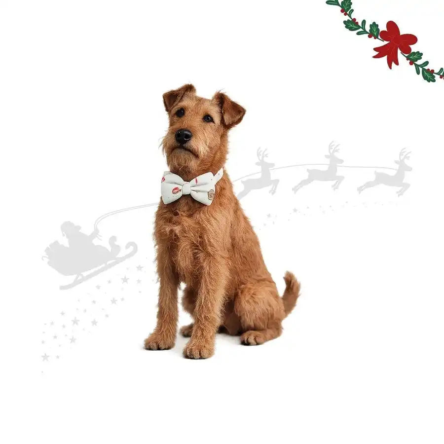 Wonder Christmas Pajarita Caramelo para perros 6 x 9 x 0.7 cm - Wonder Christmas - Comparador de precios