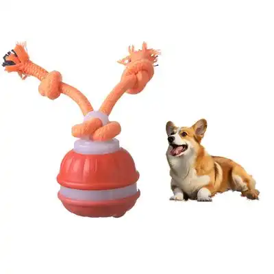 FurryFusion Pelota inteligente rodante para perros - Naranja - Furry Fusion - Comparador de precios