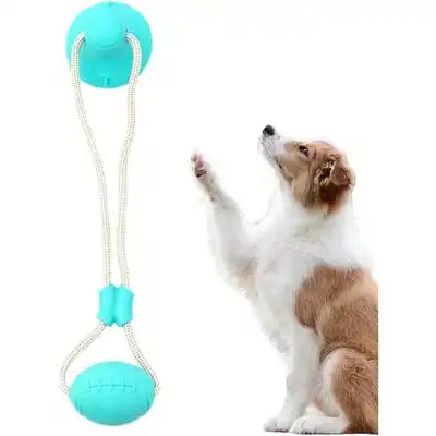 HausPets  de cuerda para perros con ventosa - Multifuncional, goma - Azul - HausPets - Comparador de precios