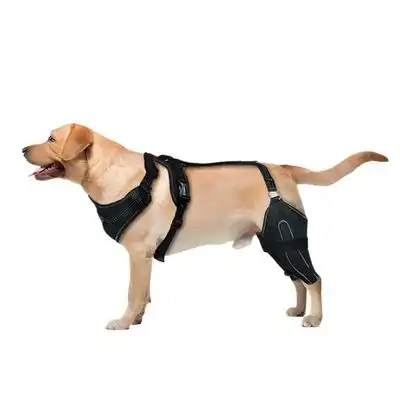 IntiMeg Cinturón de soporte para las patas traseras del perro - L - IntiMeg - Comparador de precios