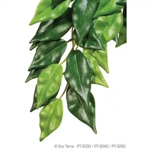 Planta de seda Ficus para reptiles - Exo Terra - Comparador de precios