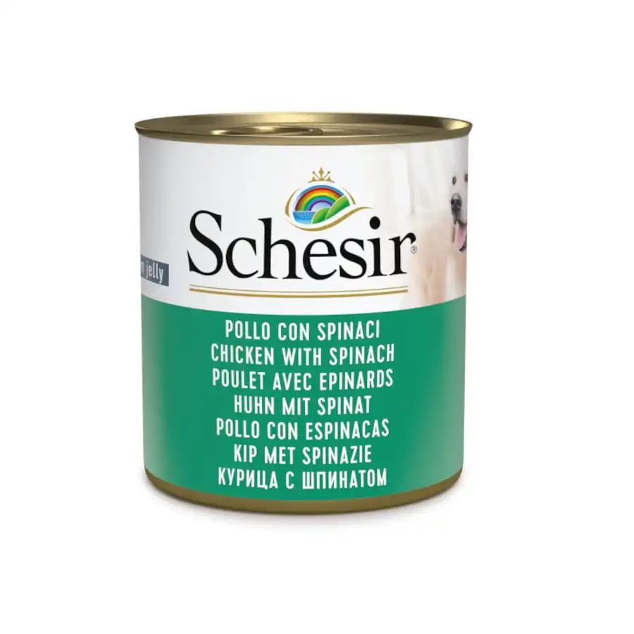 Schesir Adult pollo con espinacas lata para perros