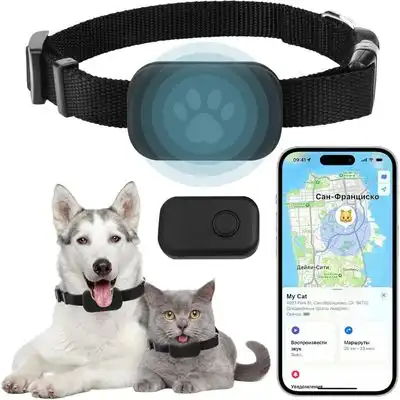 Zoomtopia Collar GPS gatos, necesidad suscripción, seguimiento ubicación - Negro - Zoomtopia - Comparador de precios