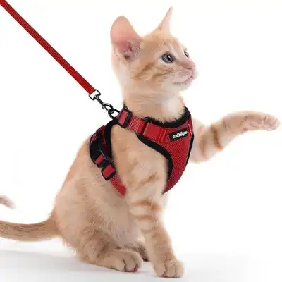 HausPets Arnés antiescape rojo gatos, talla XXS – Reflectante – gatitos - Arnés rojo XXS – Reflectante - HausPets - Comparador de precios