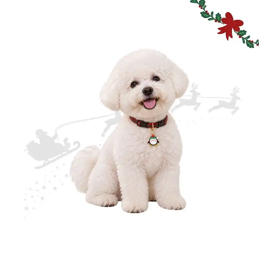 Wonder Christmas Colgante Collar Pingüino para perros 2 x 1 cm - Wonder Christmas - Comparador de precios