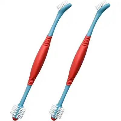 HausPets 2 cepillos dobles para perros – Limpieza 360° – Azul - Azul/Verde - HausPets - Comparador de precios
