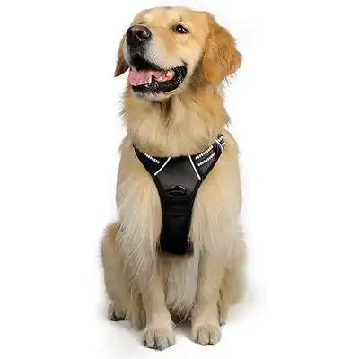 IntiMeg Arnés antitirones para perros - L - IntiMeg - Comparador de precios