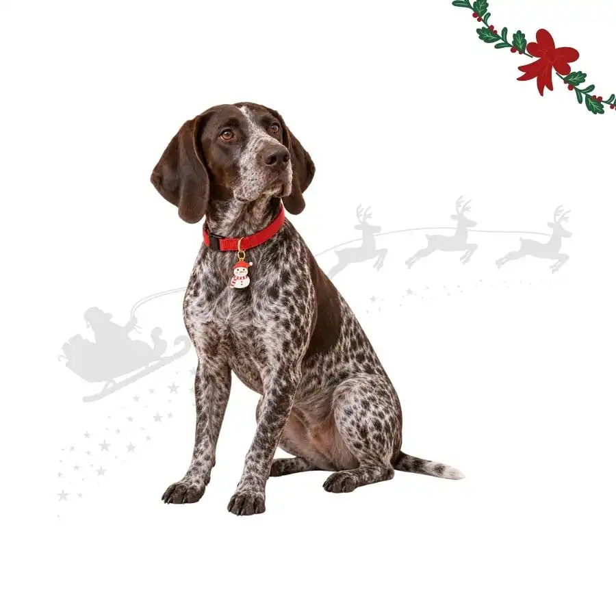 Wonder Christmas Colgante Collar Muñeco Nieve para perros 2 x 1 cm - Wonder Christmas - Comparador de precios