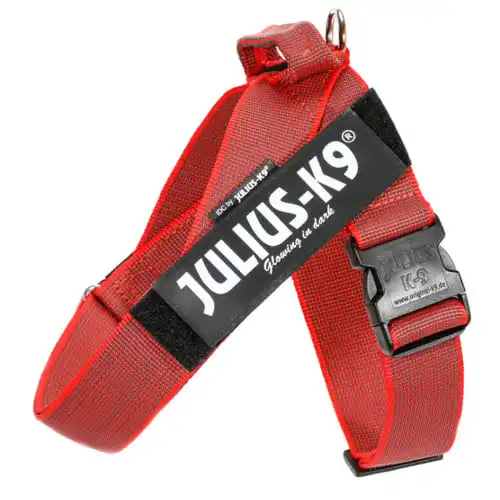 Arnés Color & Gray Julius K9 IDC rojo Mini - Julius K9 - Comparador de precios