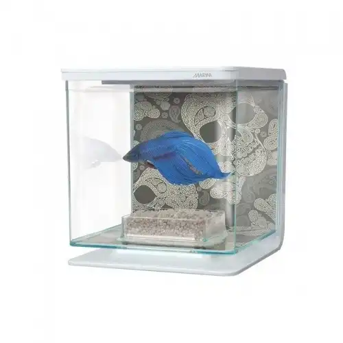 Marina betta kit acuario dibujo cráneos - Marina - Comparador de precios