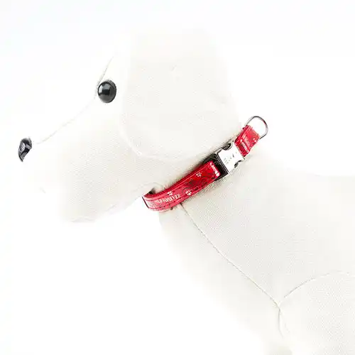 Envy Wild Forever Collar Rojo para perros