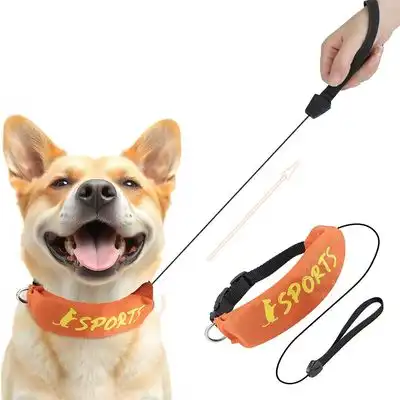 IntiMeg Collar y correa integrados - L - IntiMeg - Comparador de precios